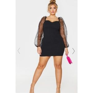 PLT Organza Sleeve Dress